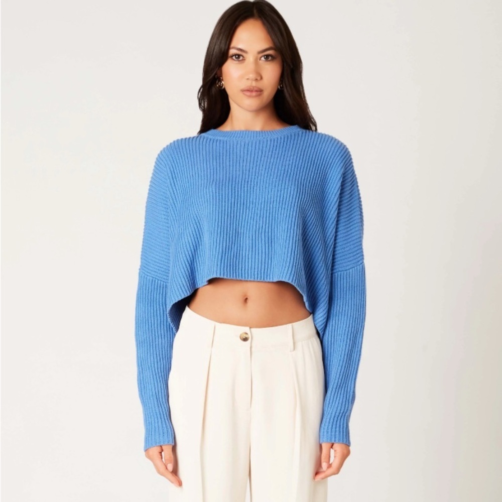 Wild Fable Cropped Blue Crew Neck Sweater